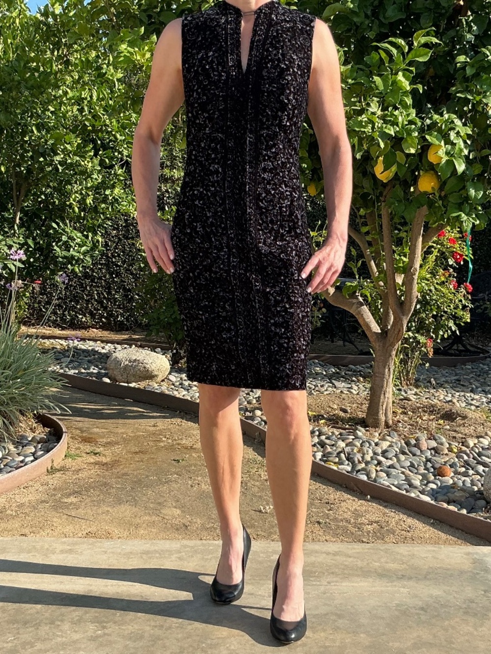 Elie Tahari Velvet Dress